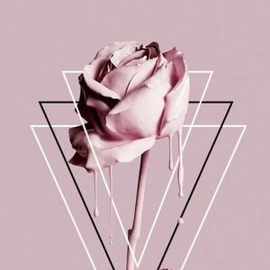 Meet your Posher, Lee